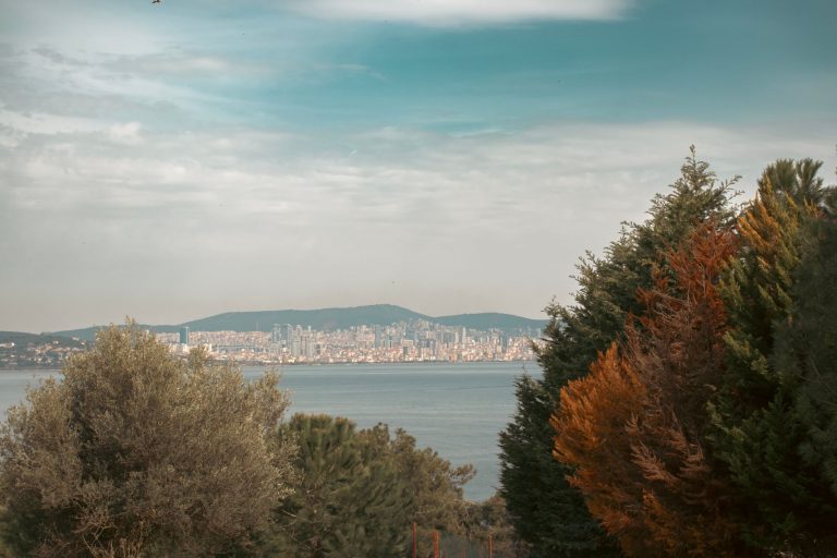 Heybeliada'dan deniz üzerinden İstanbul şehir manzarası, ön planda yeşil ve renkli ağaçlarla birlikte.