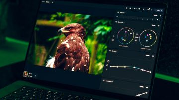 Photoroom AI