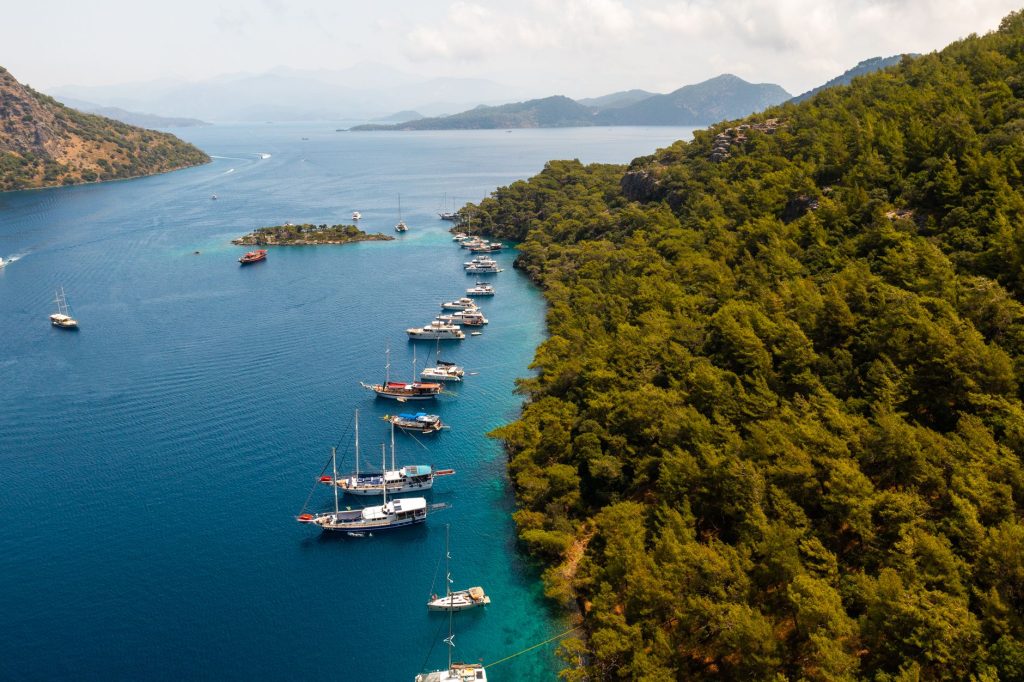 Repositioning Cruise Nedir? Farklı