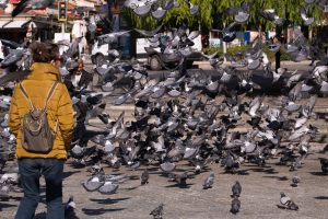 Flock CEO’sundan İzleme Verisi İhlalleri İçin Güncelleme ve Özür