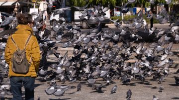 Flock CEO'sundan İzleme Verisi İhlalleri