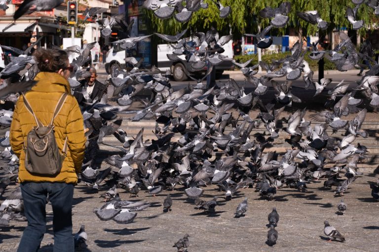 Flock CEO’sundan İzleme Verisi İhlalleri İçin Güncelleme ve Özür