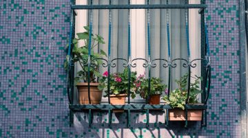 balkon bahçenizi