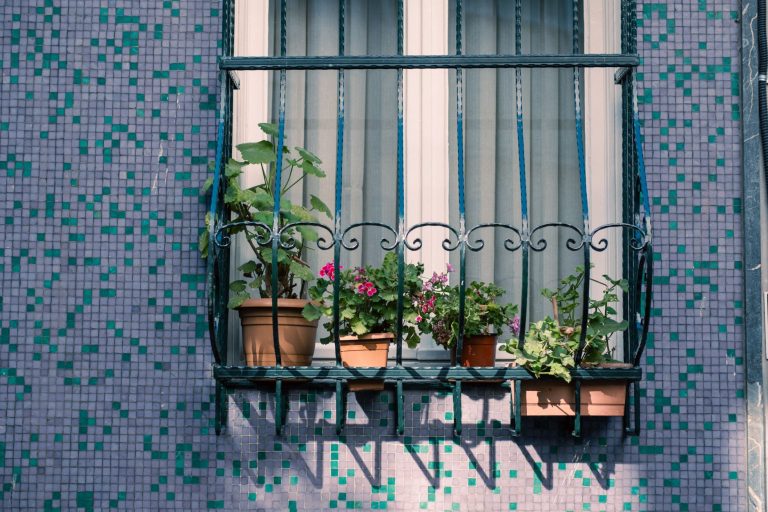 Evde kendi balkon bahçenizi kurmak için pratik 6 adım
