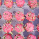 Pitaya Market Rafında Ne Anlatıyor? Ejder Meyvesini Almadan Önce Bilmeniz Gerekenler