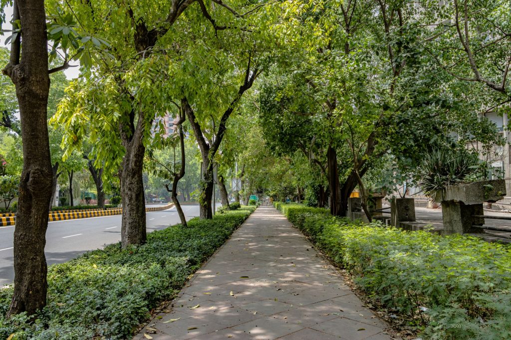 2026'da şehir parklarında güvenli yürüyüş