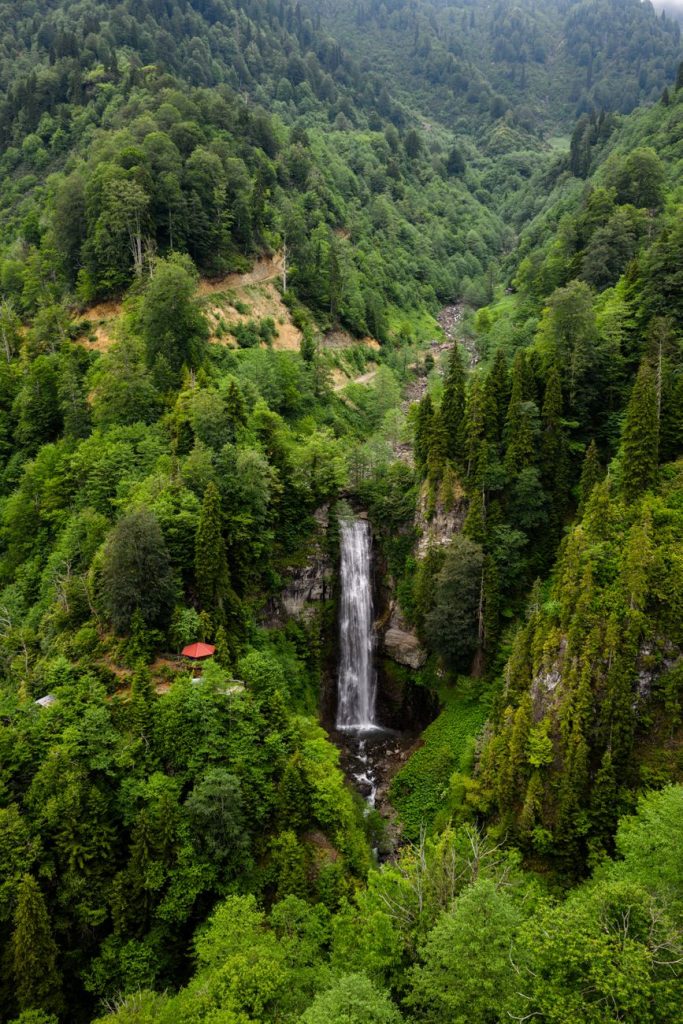 Türkiye'nin Artvin ilçesinin yemyeşil ormanlarının arasından çağlayan, nefes kesen bir şelale.