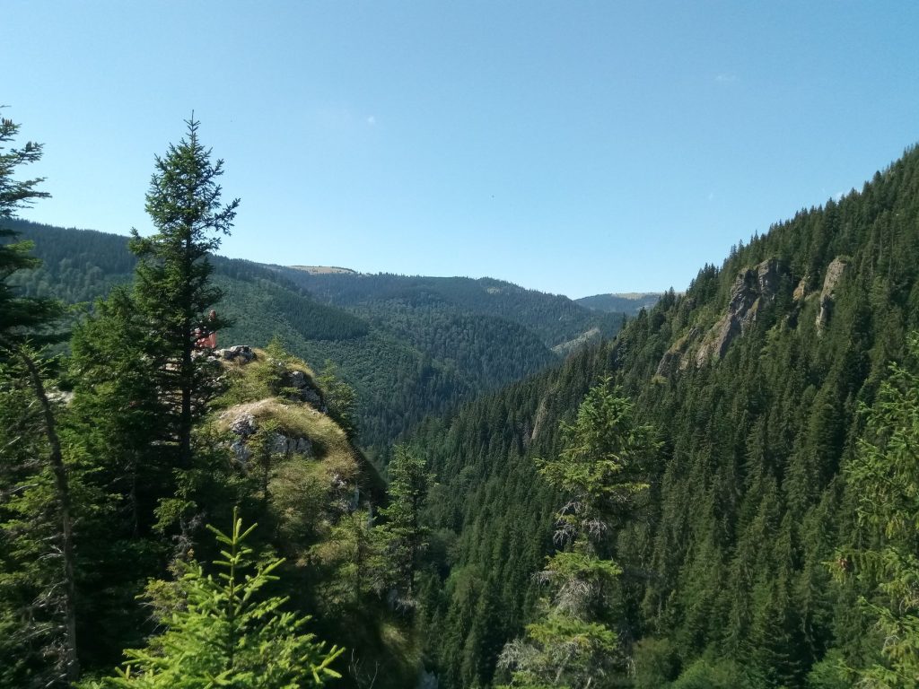 Transilvanya'nın Doğasında Aileyle