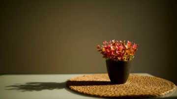 Home Assistant