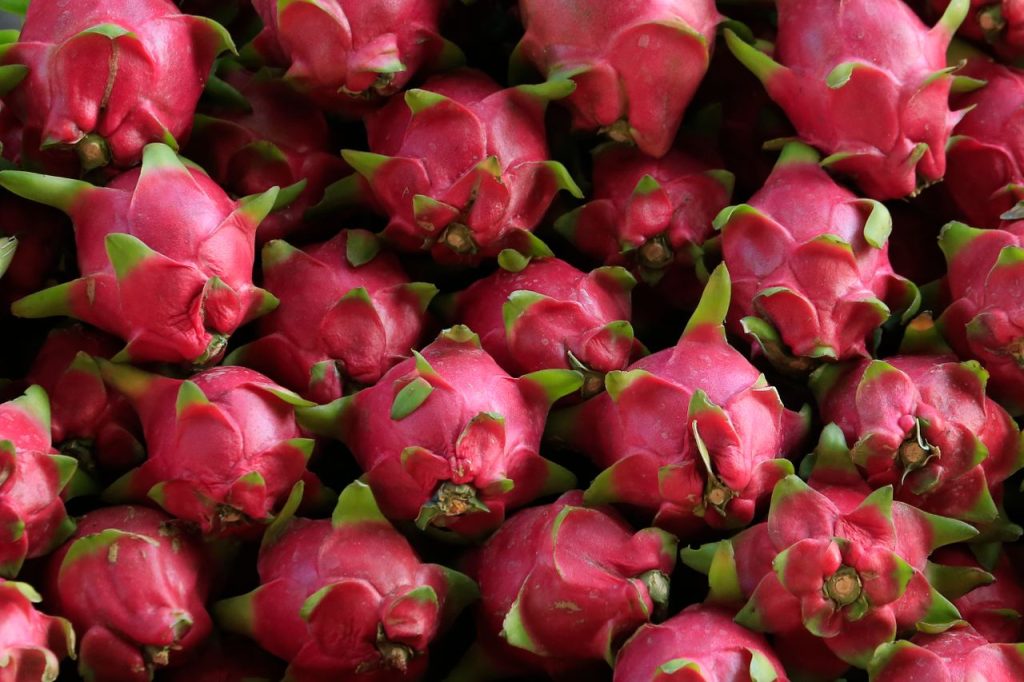Üst üste dizilmiş canlı pembe ejder meyveleri