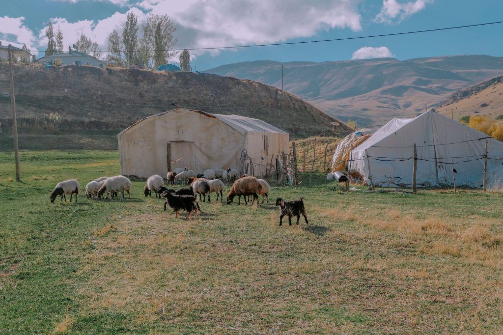 ziyaret ziyaret
