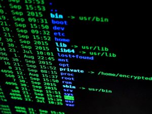 2026’da Linux Terminali ile Dosya Yönetimi