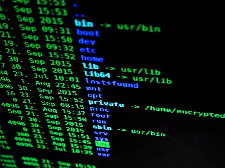 2026’da Linux Terminali ile Dosya Yönetimi