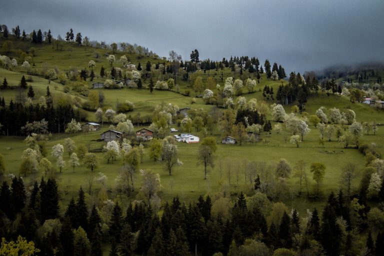 İngiltere’nin Son Yağmur Ormanında Kamp Keyfi
