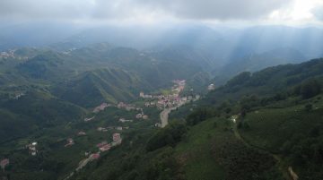 ziyaret