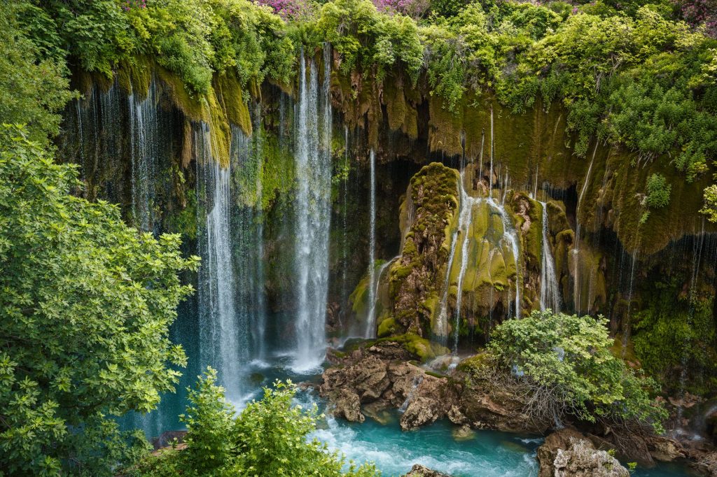 2026'da doğa fotoğrafçılığı nerelerde